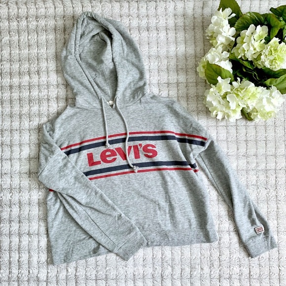 Levi’s Gray Stripe Hoodie - Picture 1 of 3